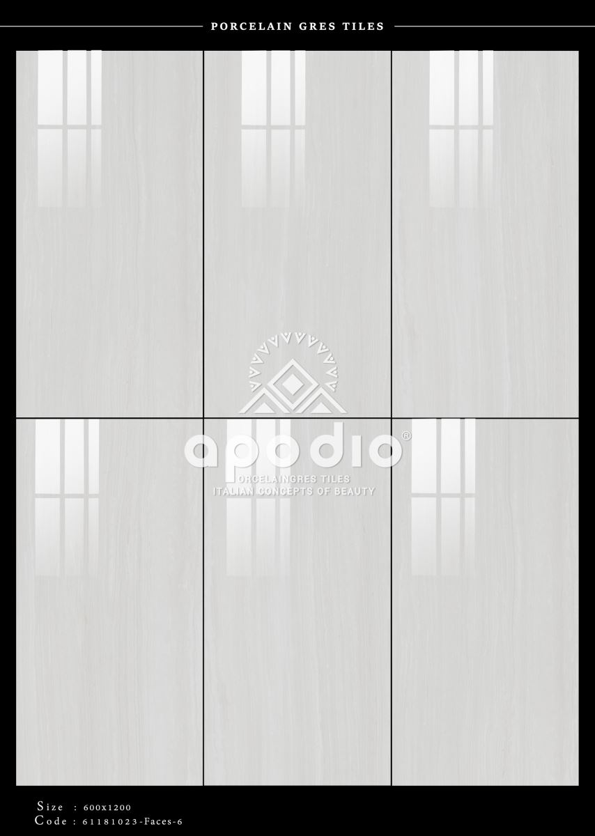 Gạch ốp lát 60x120 Apodio 61181023