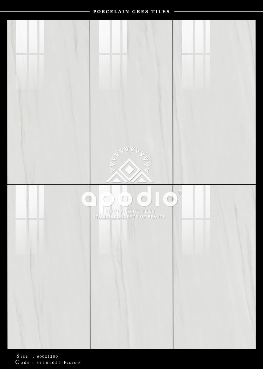 Gạch ốp lát 60x120 Apodio 61181027