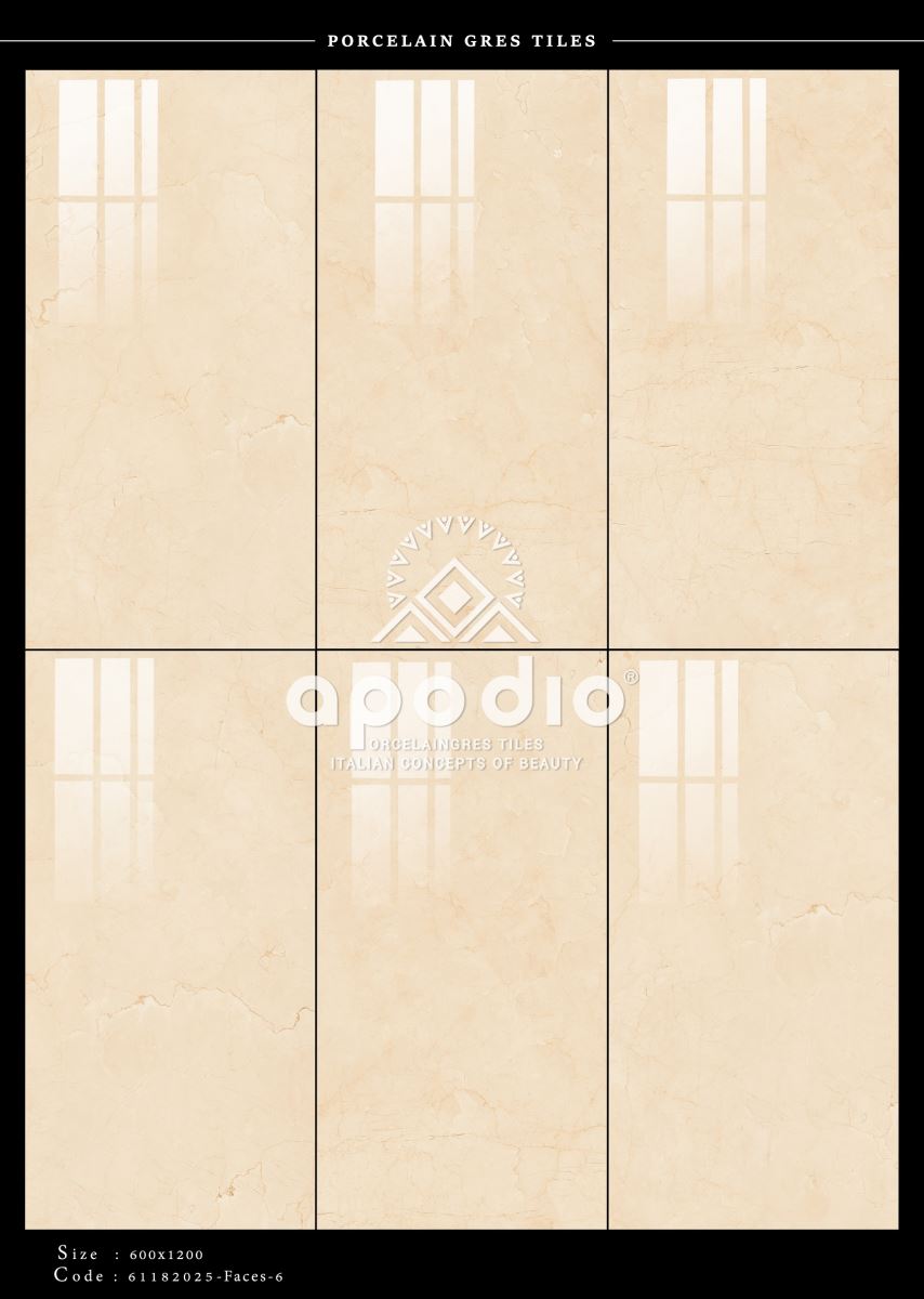 Gạch ốp lát 60x120 Apodio 61182025