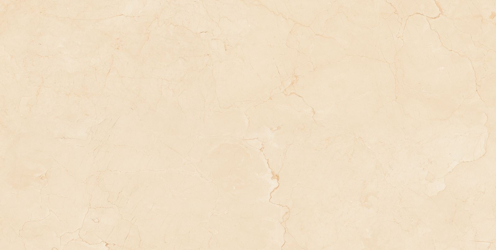 Gạch ốp lát 60x120 Apodio 61182025 F2
