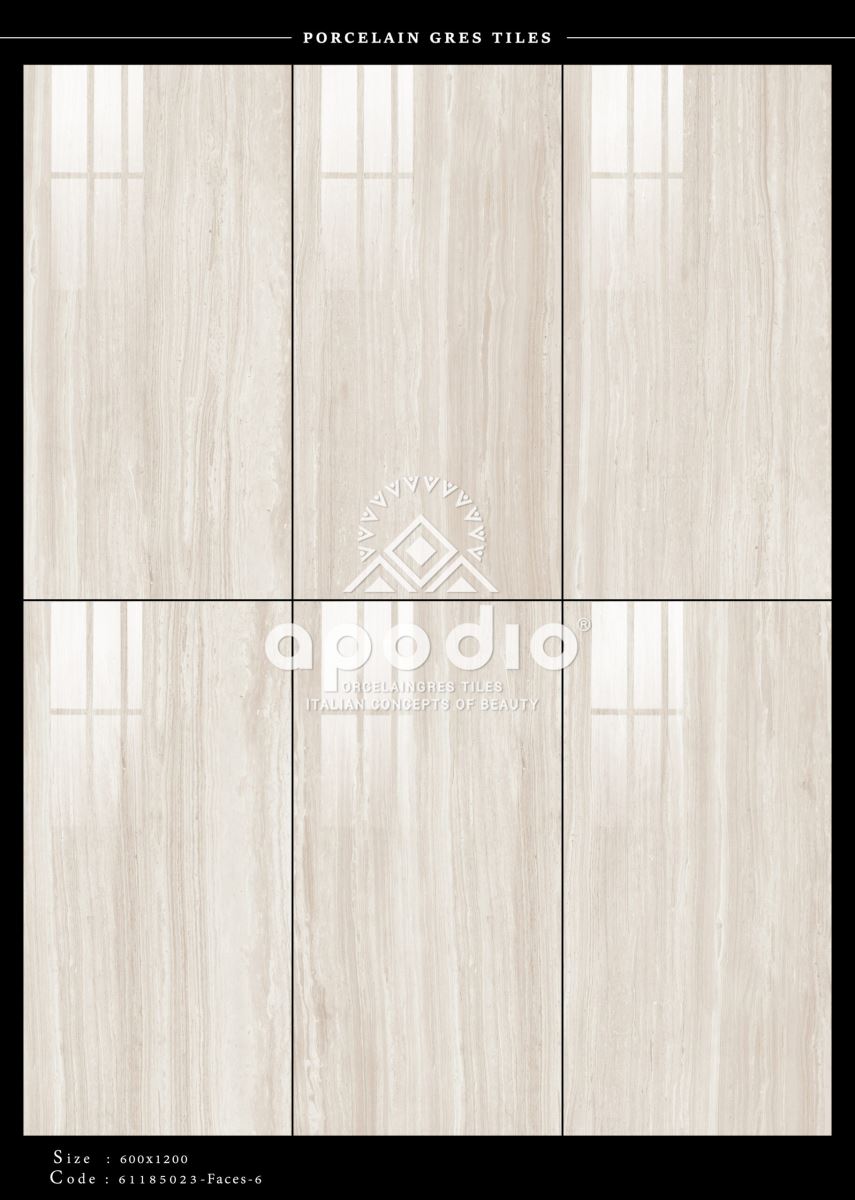 Gạch ốp lát 60x120 Apodio 61185023