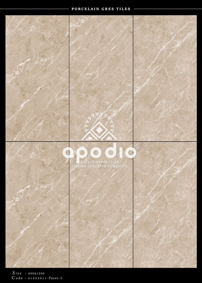 Gạch ốp lát 60x120 Apodio 61222011