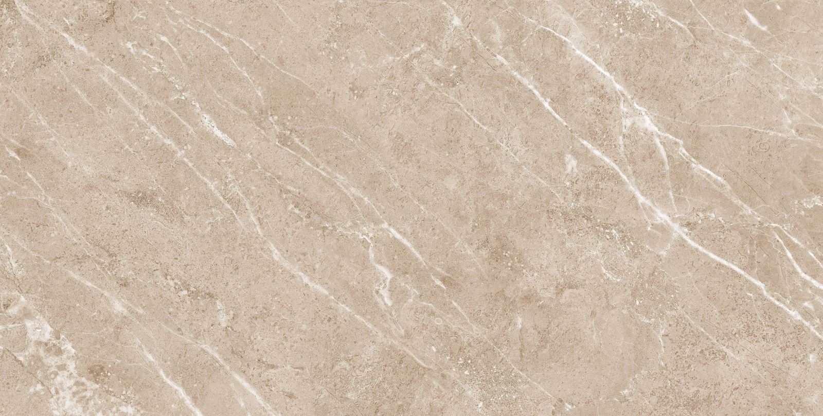 Gạch ốp lát 60x120 Apodio 61222011 F1