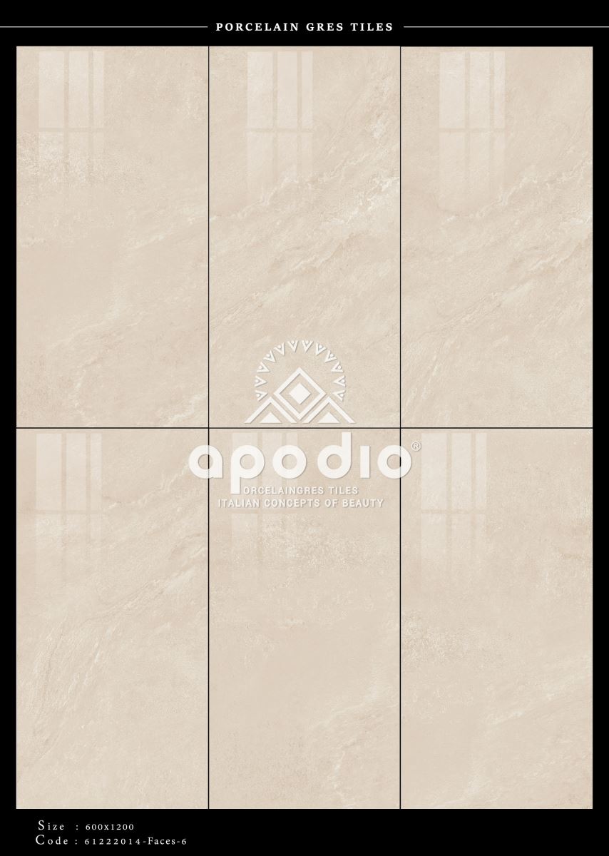Gạch ốp lát 60x120 Apodio 61222014