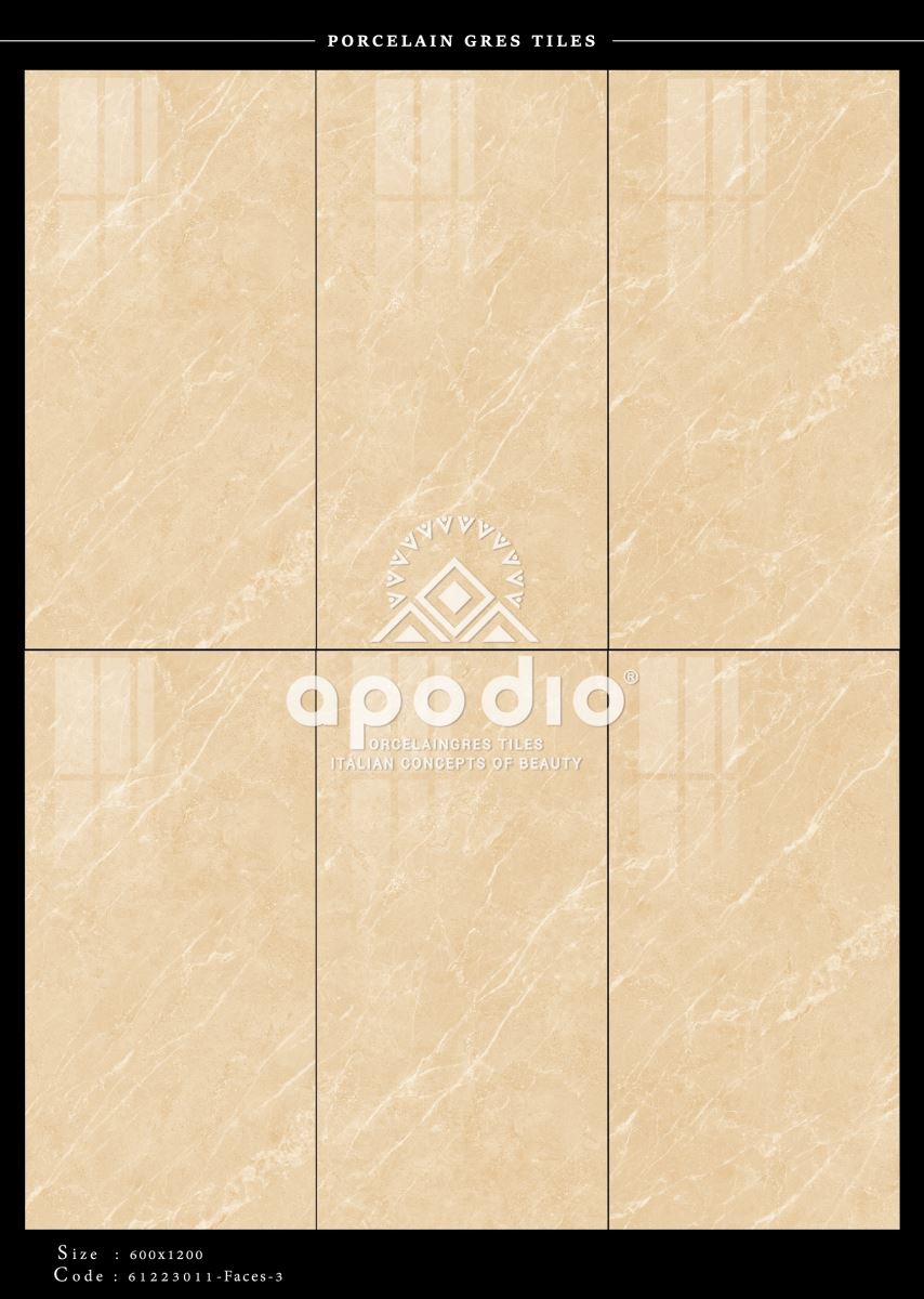 Gạch ốp lát 60x120 Apodio 61223011