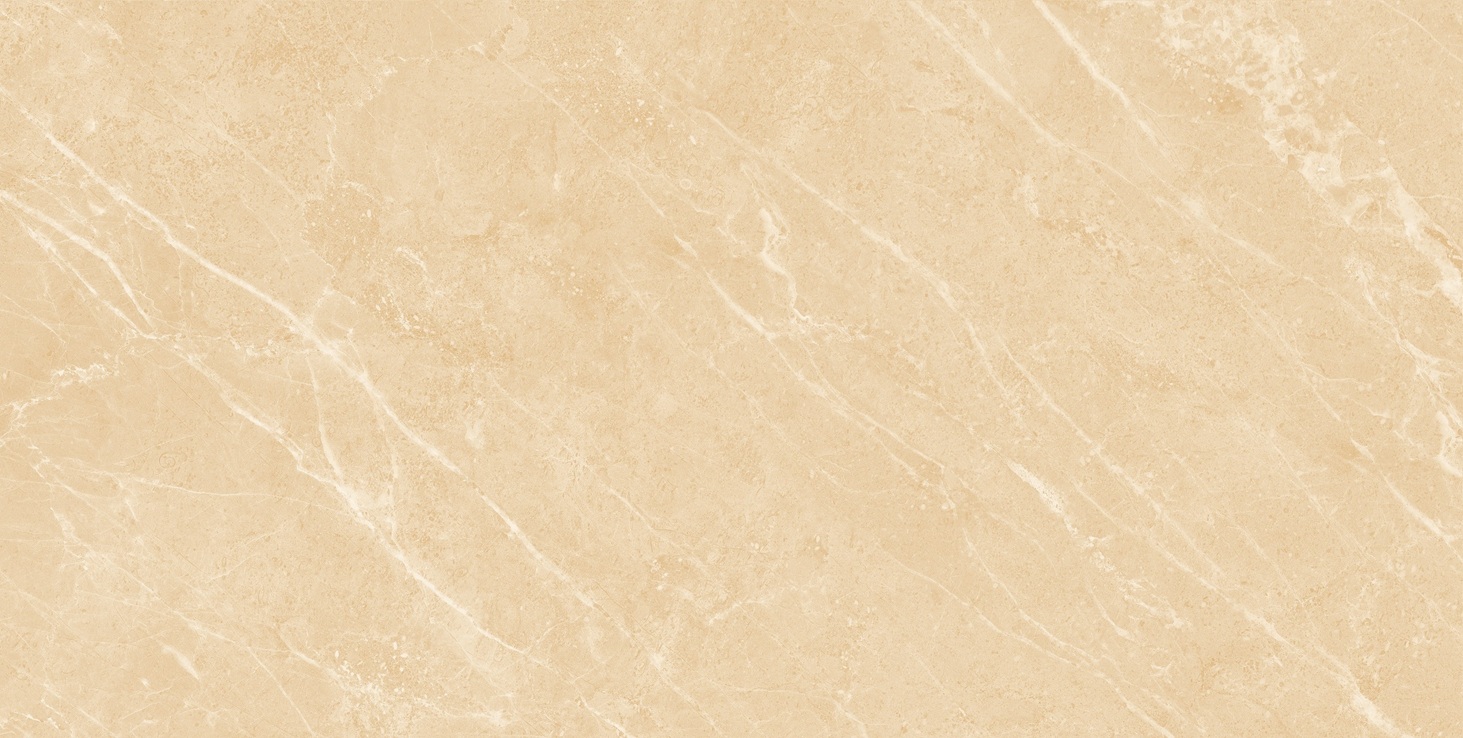Gạch ốp lát 60x120 Apodio 61223011 F1