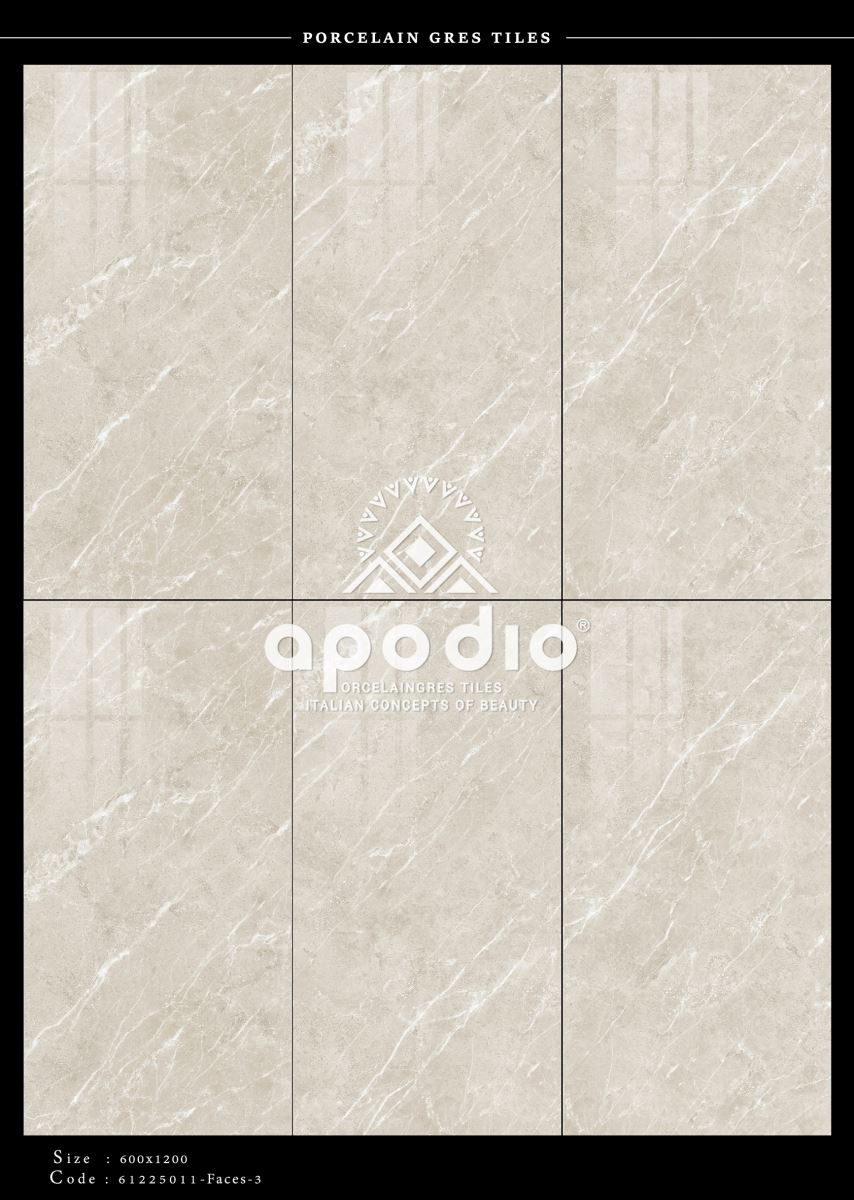 Gạch ốp lát 60x120 Apodio 61225011