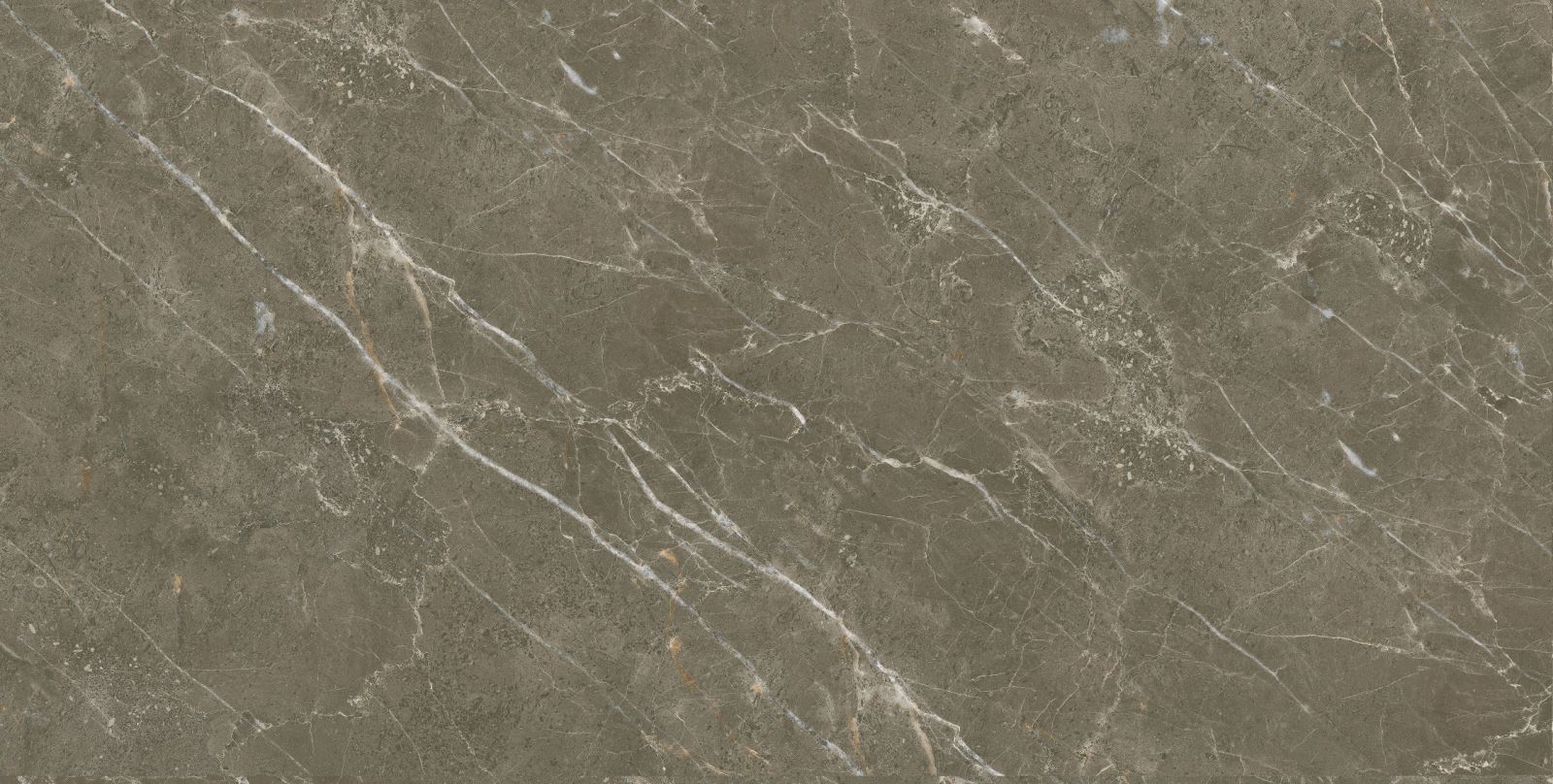 Gạch ốp lát 60x120 Apodio 61226011 F2