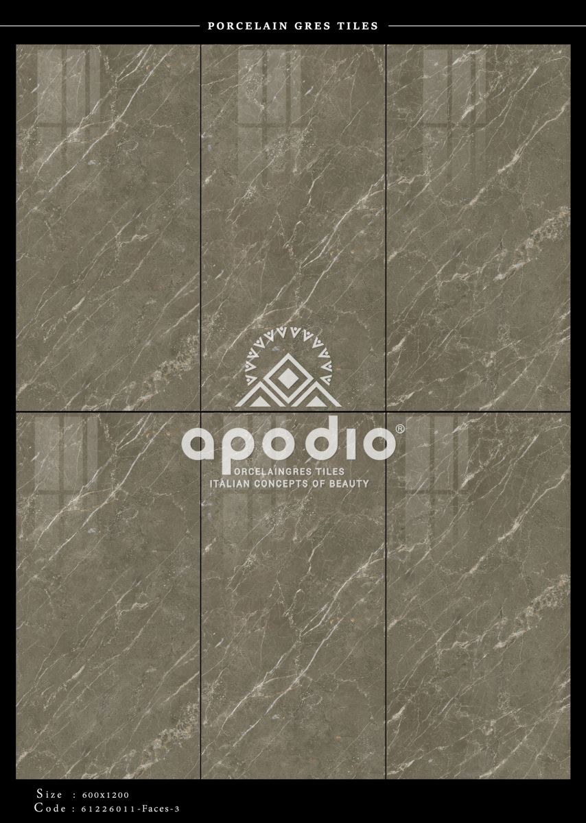 Gạch ốp lát 60x120 Apodio 61226011