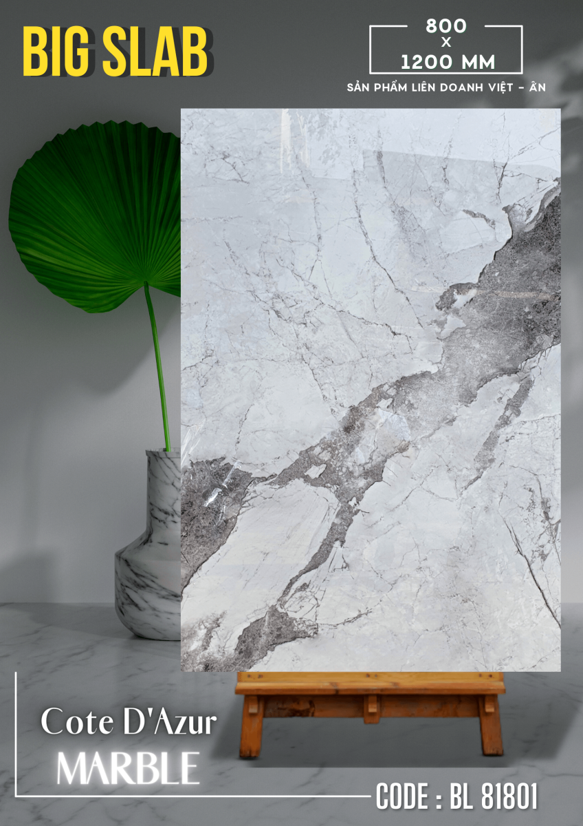 Gạch ốp lát 80x120 Apodio 81801