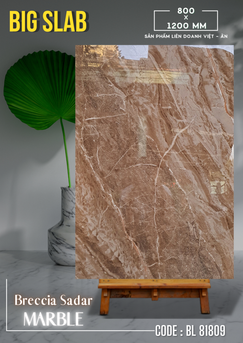 Gạch ốp lát 80x120 Apodio 81809