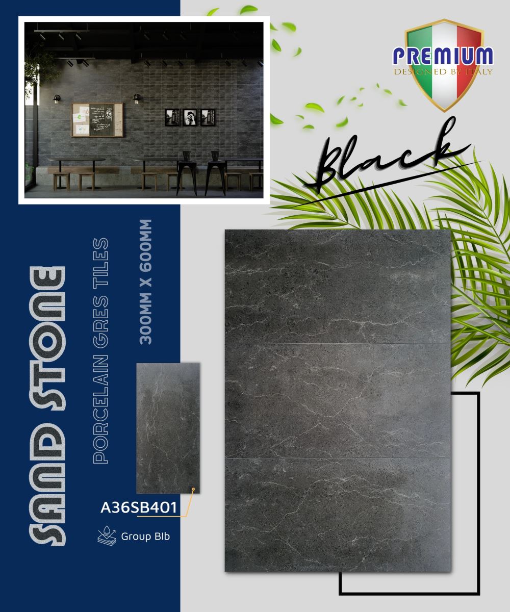 Gạch ốp lát 30x60 Apodio A36SB401 8