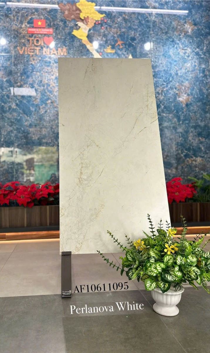 Gạch ốp lát 60x120 Apodio AF10611095 tt