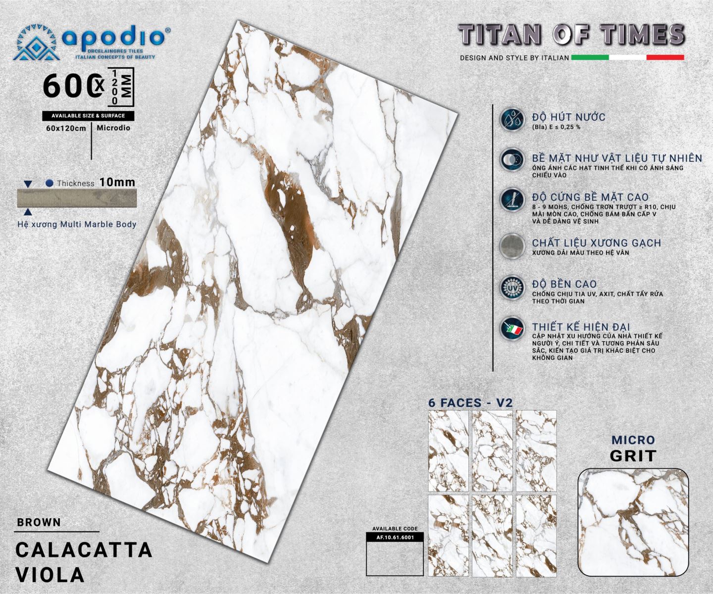 Gạch ốp lát 60x120 Apodio AF10616001