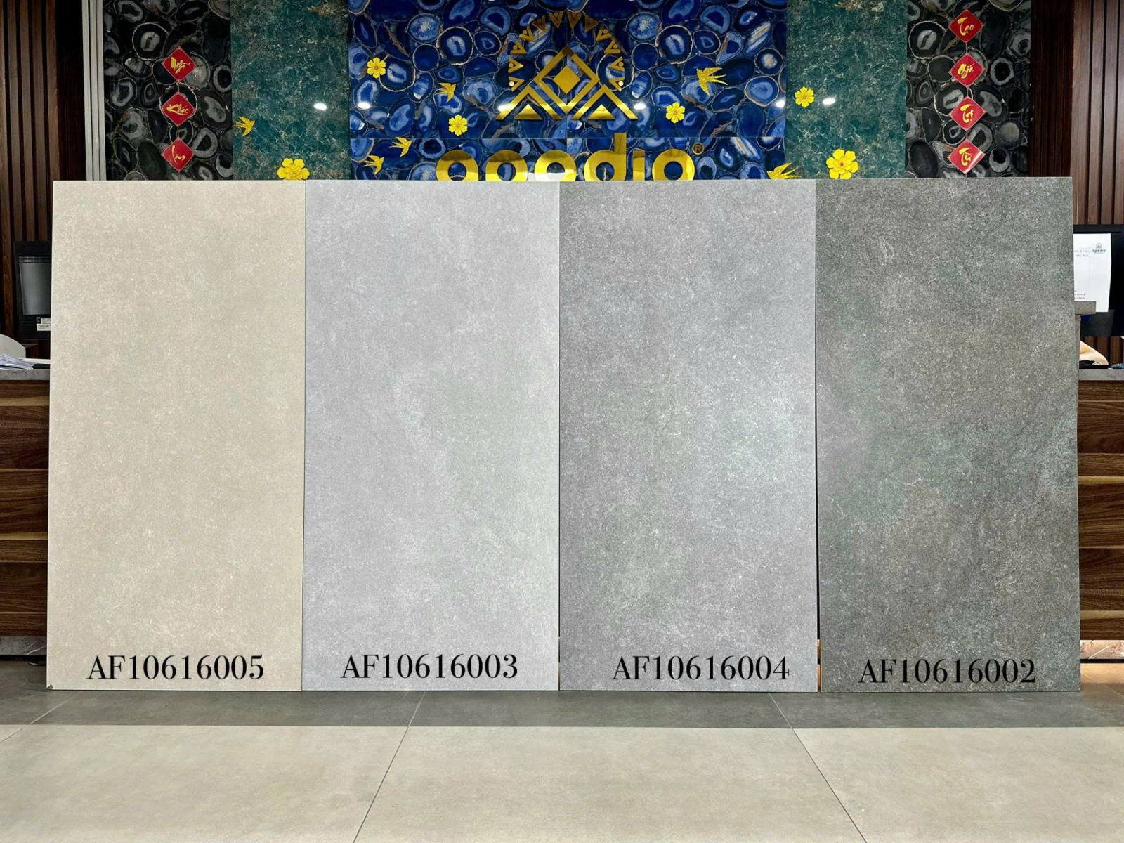 Gạch ốp lát 60x120 Apodio AF10616005 tt1