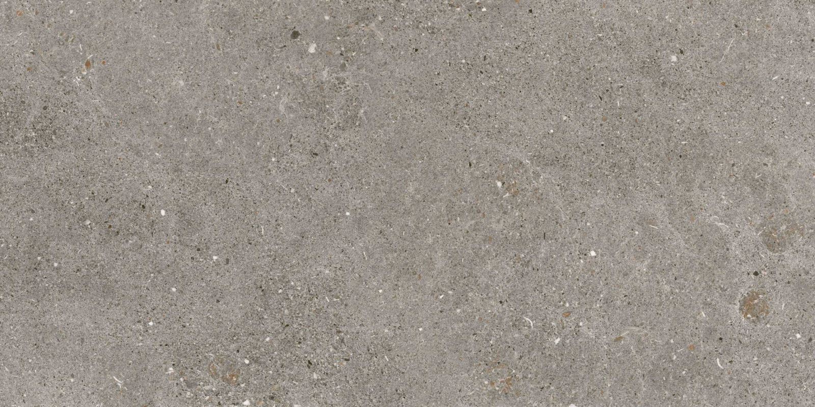 Gạch ốp lát 80x160 Apodio AF10866005 f3