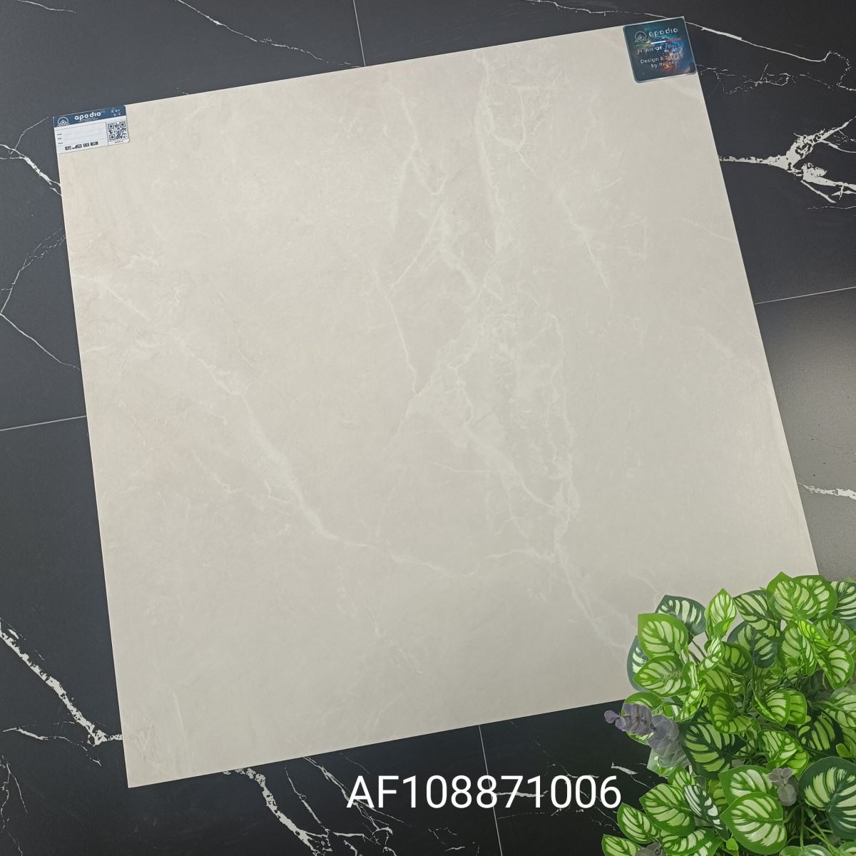 Gạch ốp lát 80x80 Apodio AF108871006 tt1