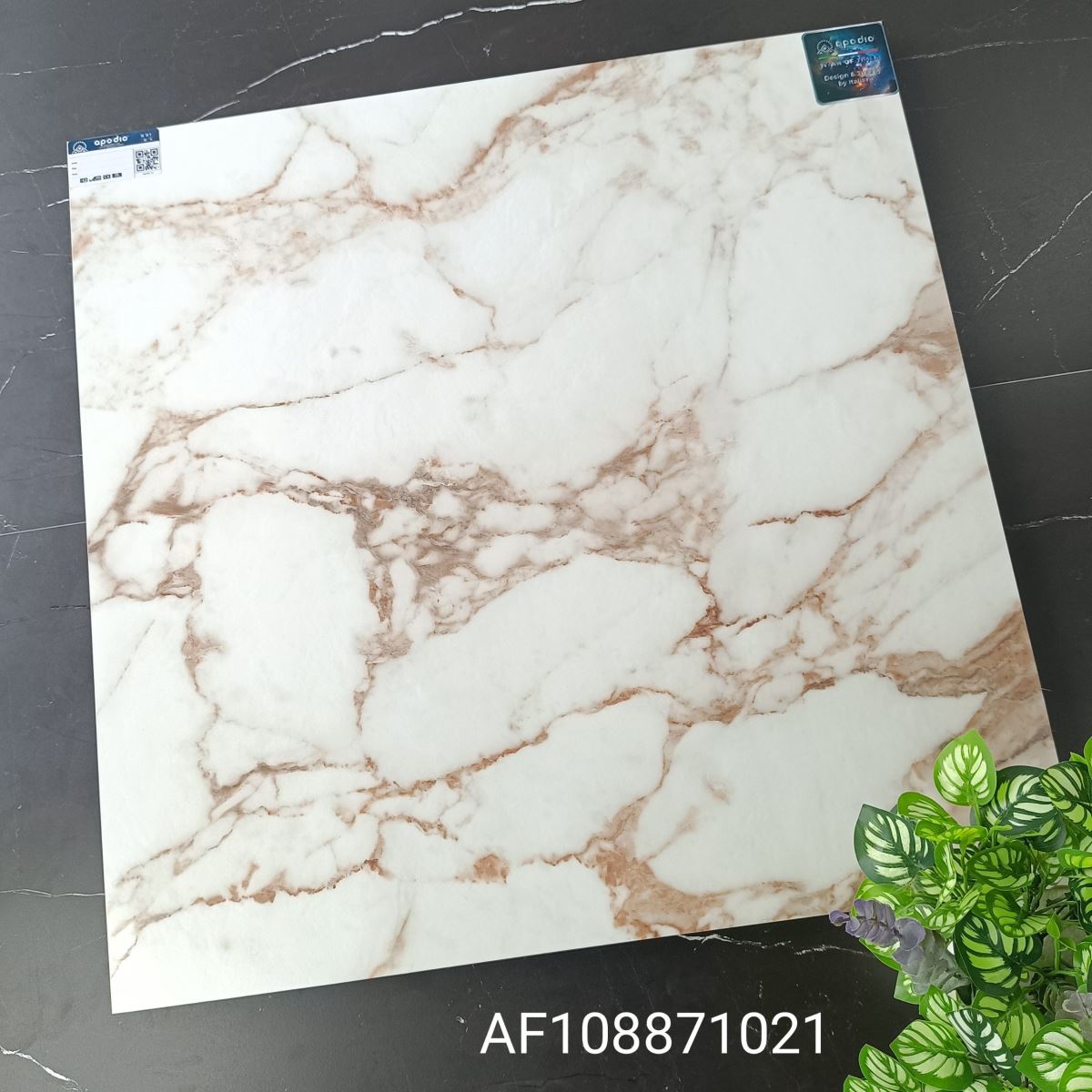 Gạch ốp lát 80x80 Apodio AF108871021 tt