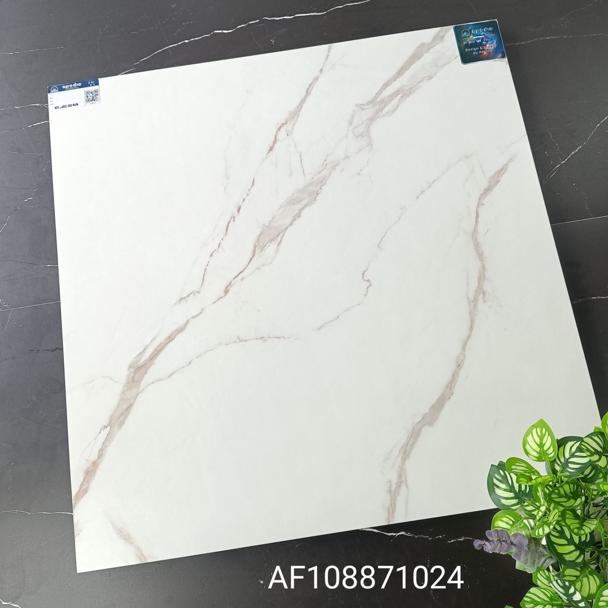 Gạch ốp lát 80x80 Apodio AF108871024 tt