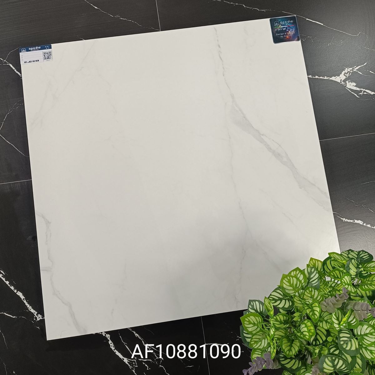 Gạch ốp lát 80x80 Apodio AF108871090 tt