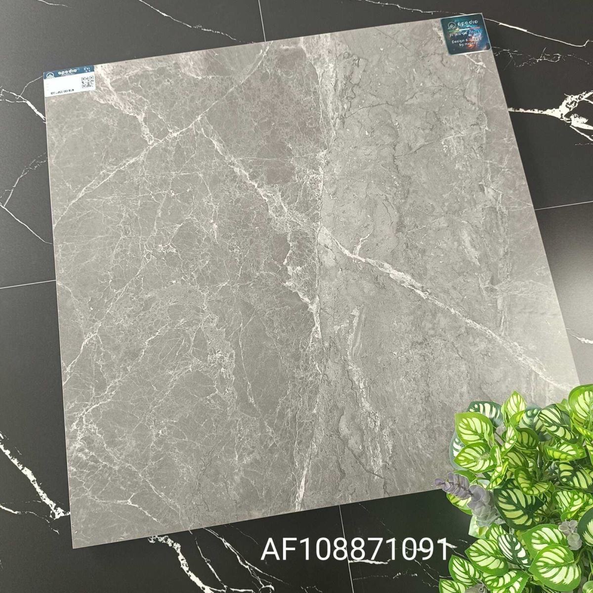 Gạch ốp lát 80x80 Apodio AF108871091 tt
