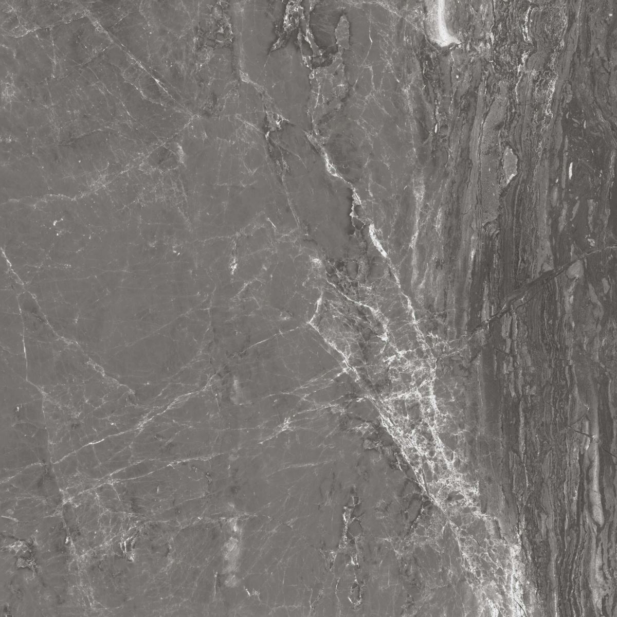 Gạch ốp lát 80x80 Apodio AF108871091 F8