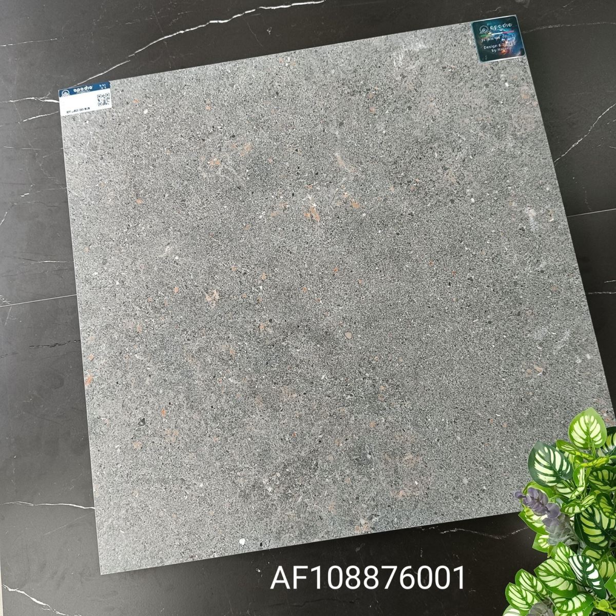 Gạch ốp lát 80x80 Apodio AF108876001 tt