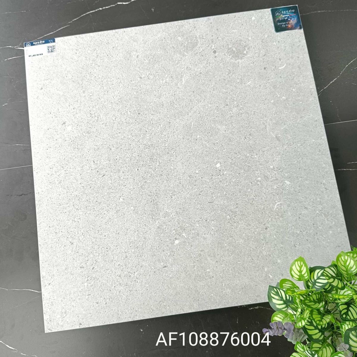 Gạch ốp lát 80x80 Apodio AF108876004 tt