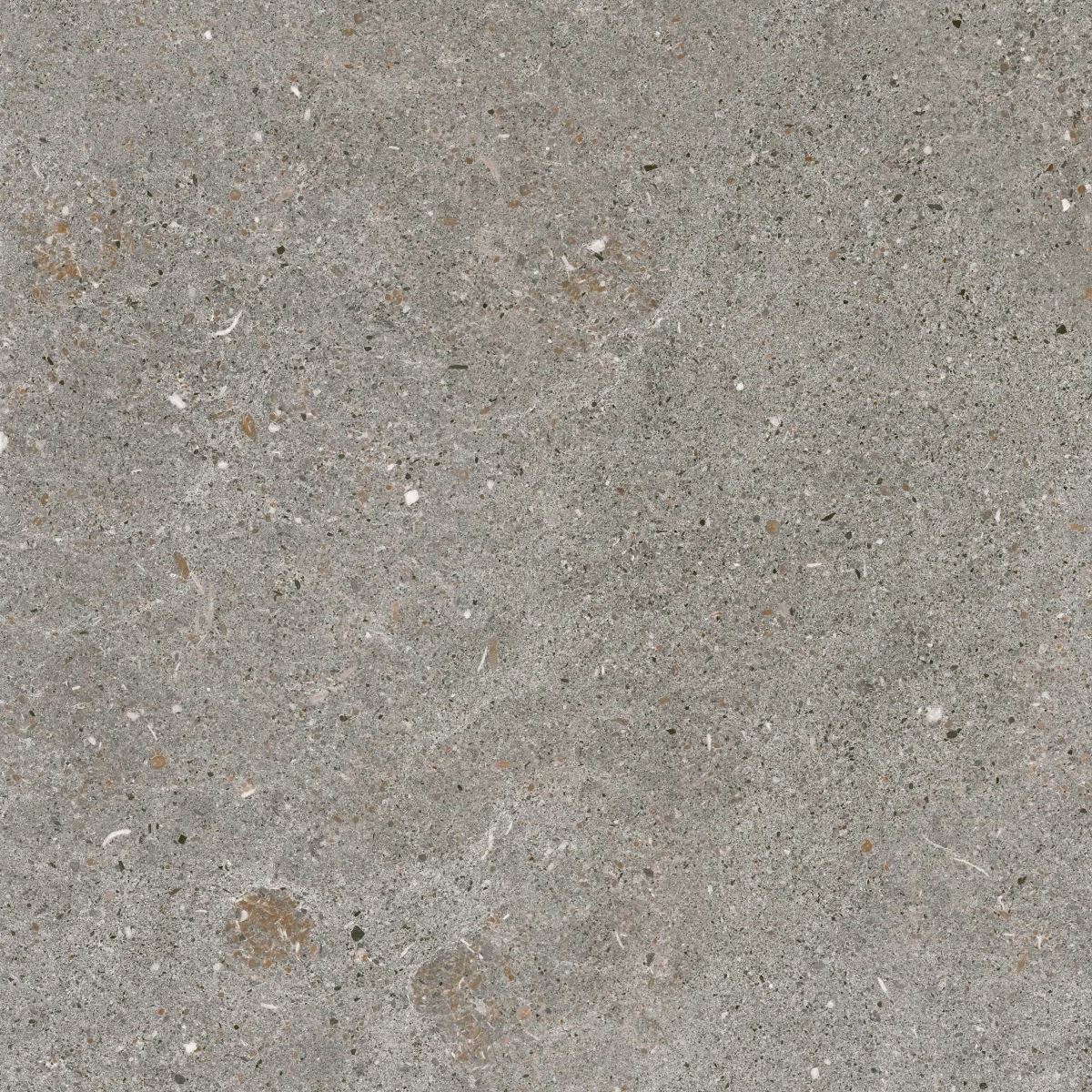 Gạch ốp lát 80x80 Apodio AF108876005 F7