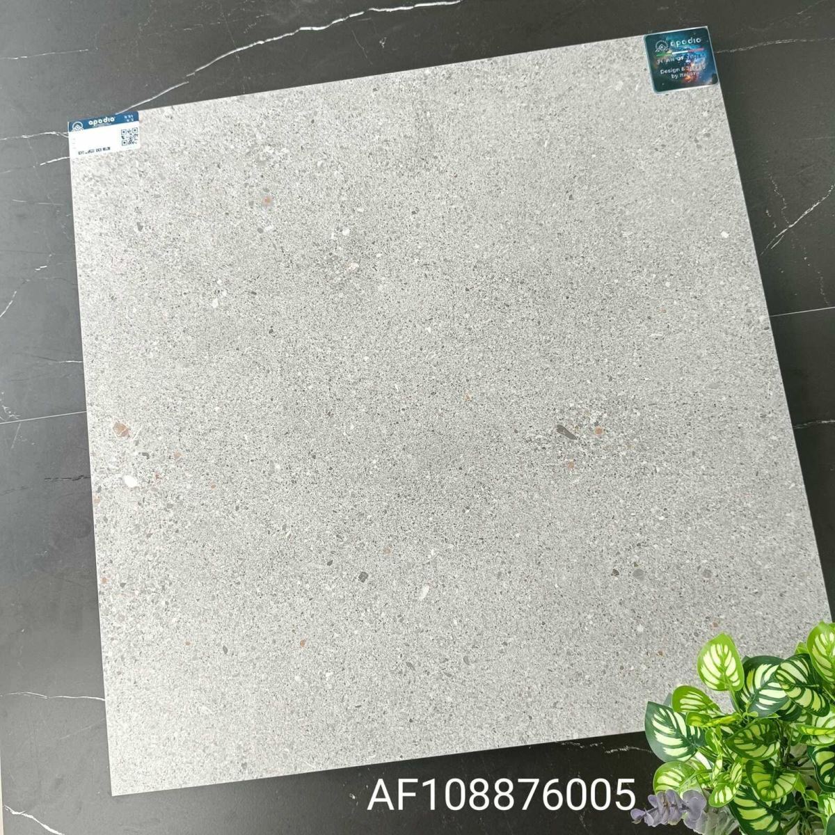 Gạch ốp lát 80x80 Apodio AF108876005 tt