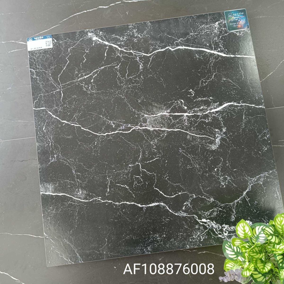 Gạch ốp lát 80x80 Apodio AF108876008 tt1
