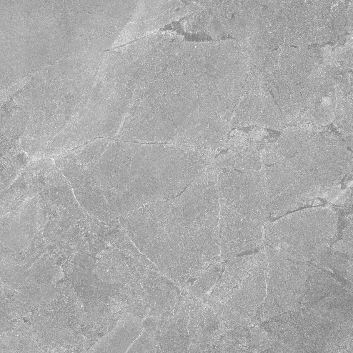 Gạch ốp lát 80x80 Apodio AF108876012 F7