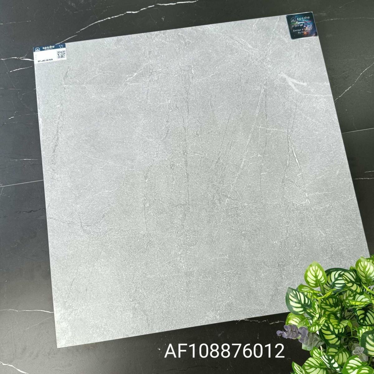 Gạch ốp lát 80x80 Apodio AF108876012 tt