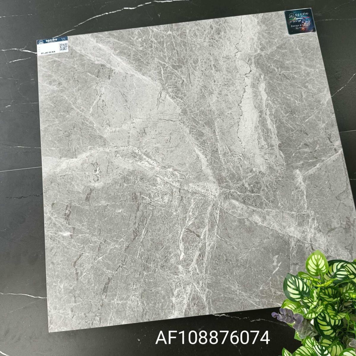 Gạch ốp lát 80x80 Apodio AF108876074 tt1