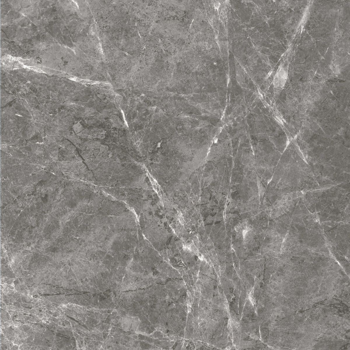 Gạch ốp lát 80x80 Apodio AF108876075 F7