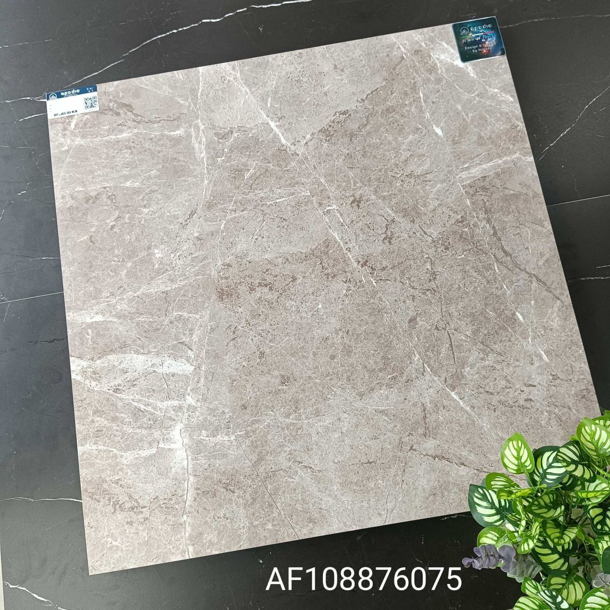 Gạch ốp lát 80x80 Apodio AF108876075 tt1