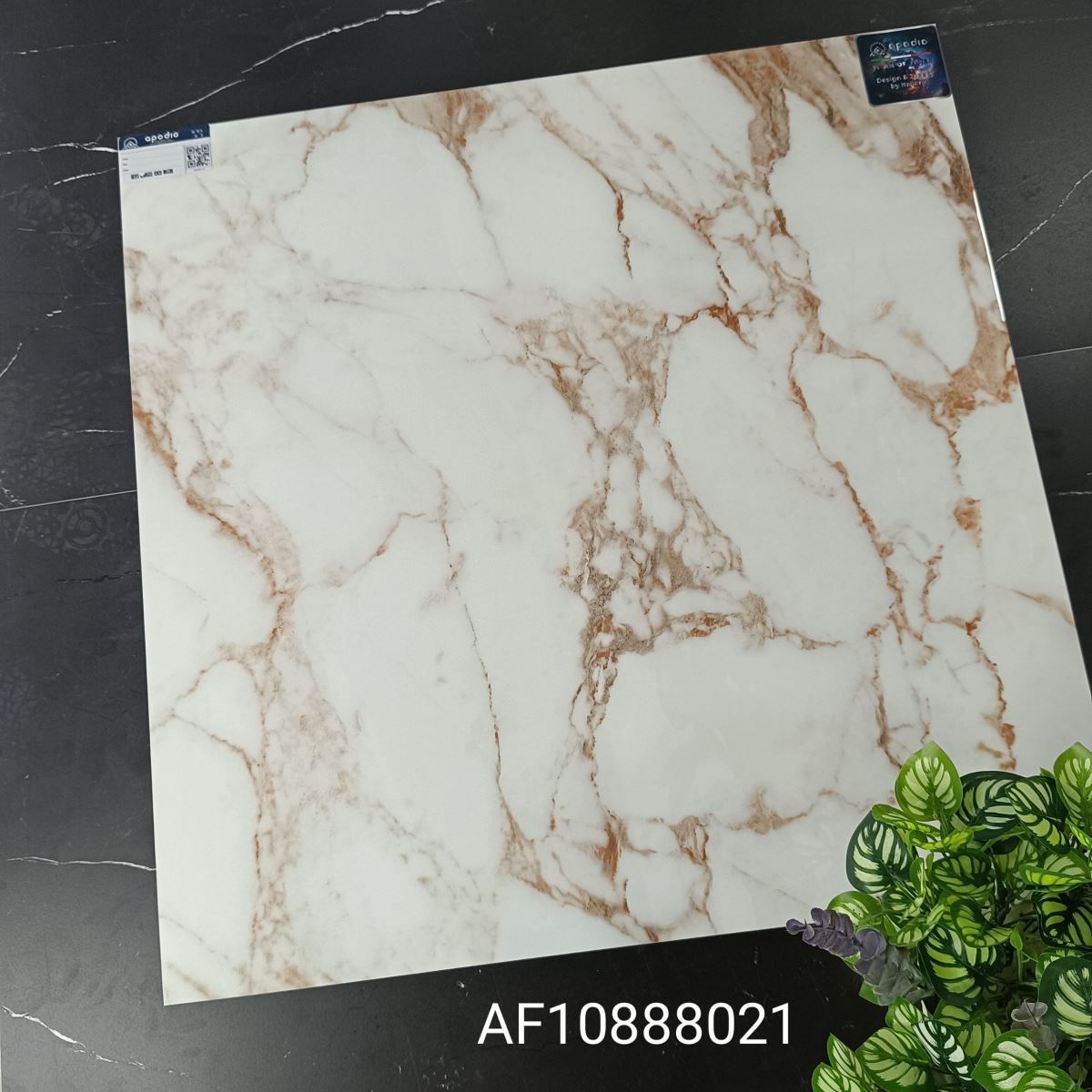 Gạch ốp lát 80x80 Apodio AF10888021