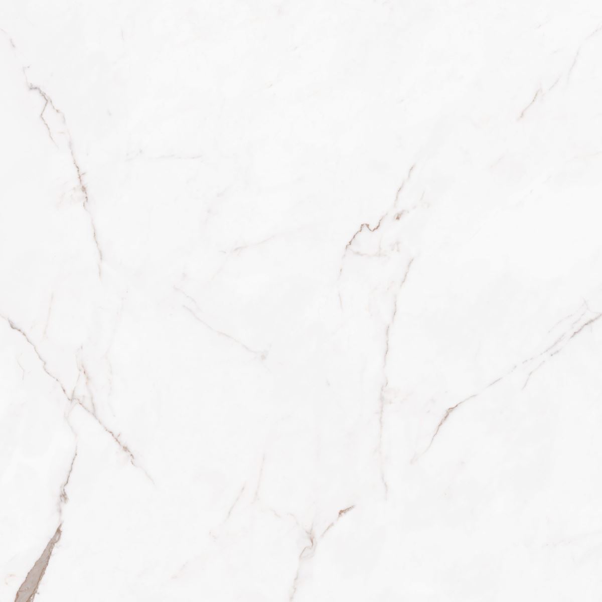 Gạch ốp lát 80x80 Apodio AF10888024 F2