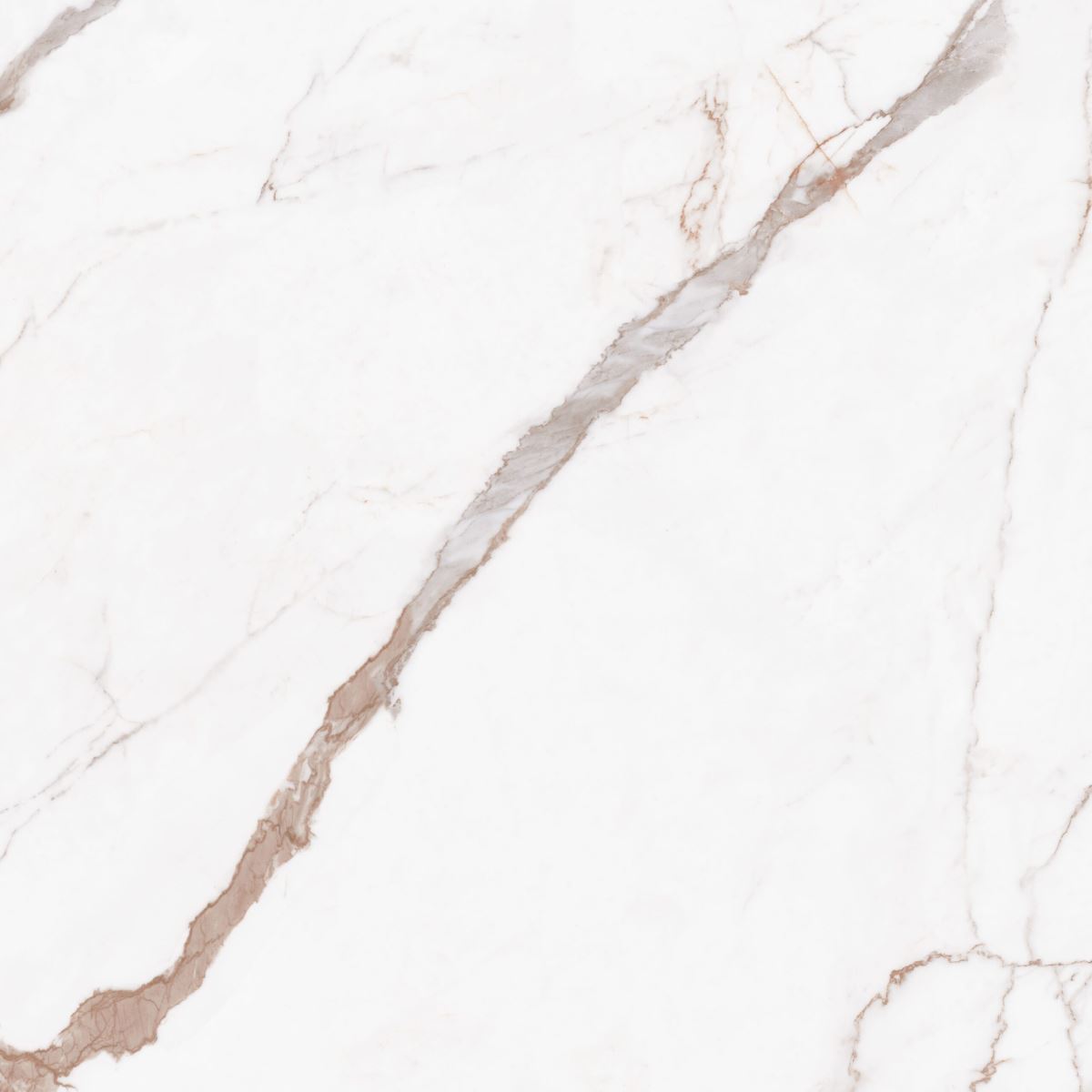 Gạch ốp lát 80x80 Apodio AF10888024 F1