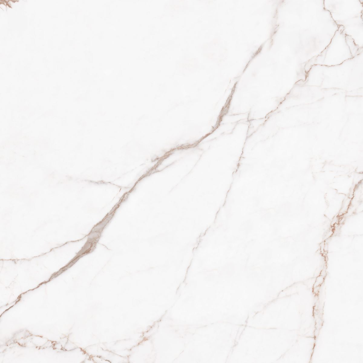 Gạch ốp lát 80x80 Apodio AF10888024 F8