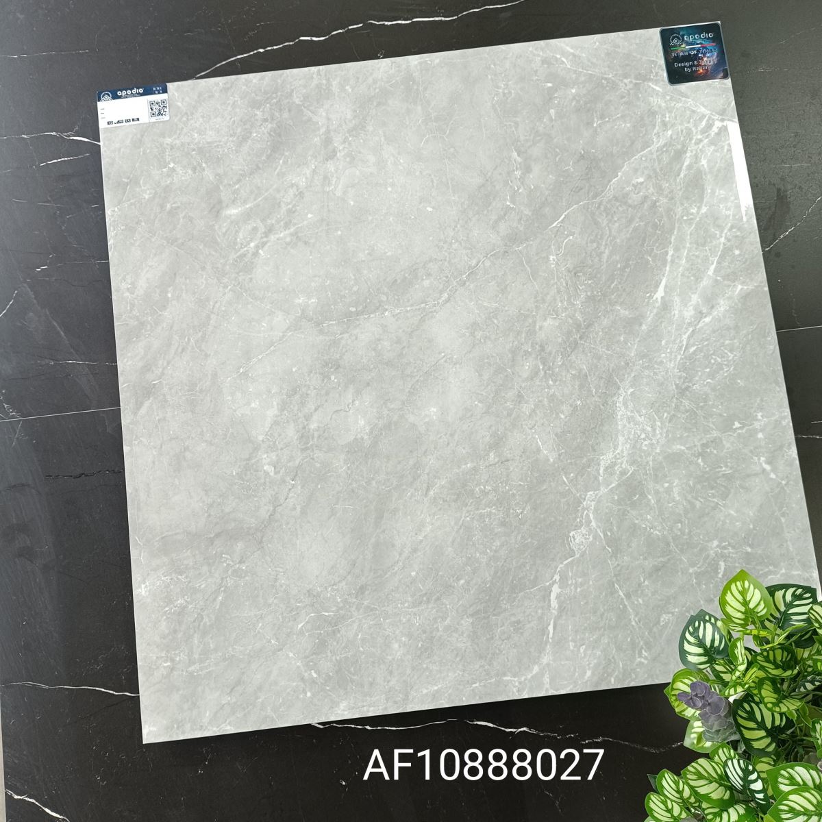 Gạch ốp lát 80x80 Apodio AF10888027
