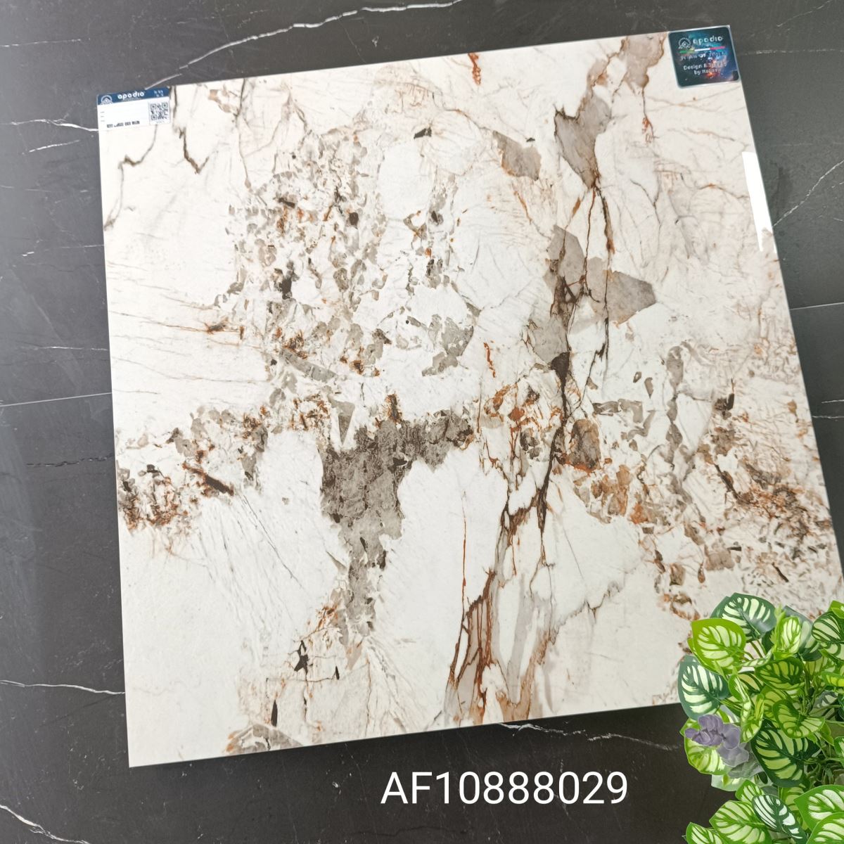Gạch ốp lát 80x80 Apodio AF10888029