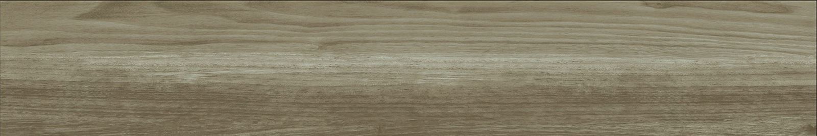 Gạch ốp lát vân gỗ 15x90 Apodio AP091973004 F15