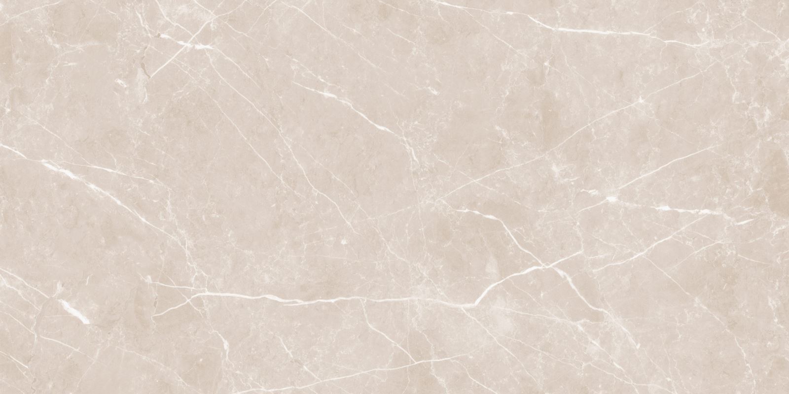Gạch ốp lát 60x120 Apodio M61PW302