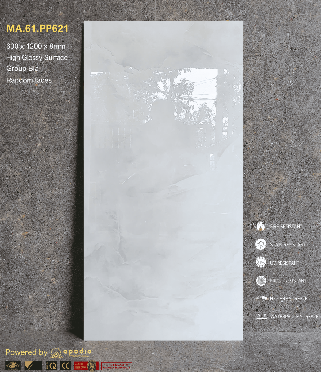 Gạch ốp lát 60x120 Apodio MA61PP621