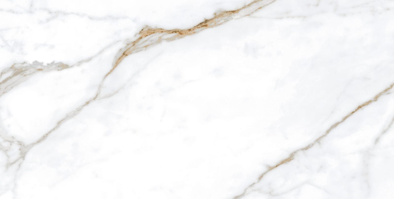 Gạch ốp lát 60x120 Apodio MA61PP623 F1