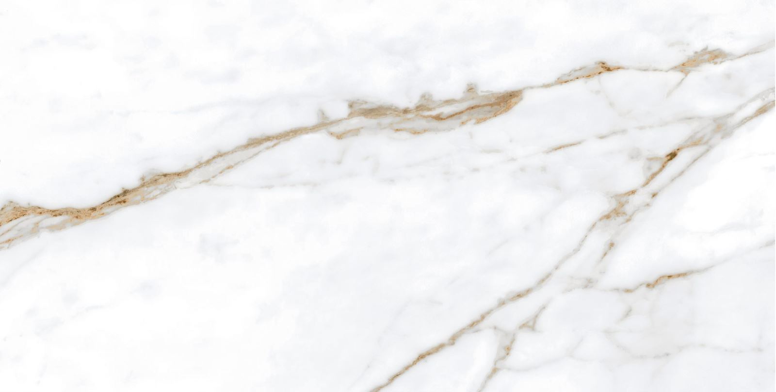 Gạch ốp lát 60x120 Apodio MA61PP623 F2