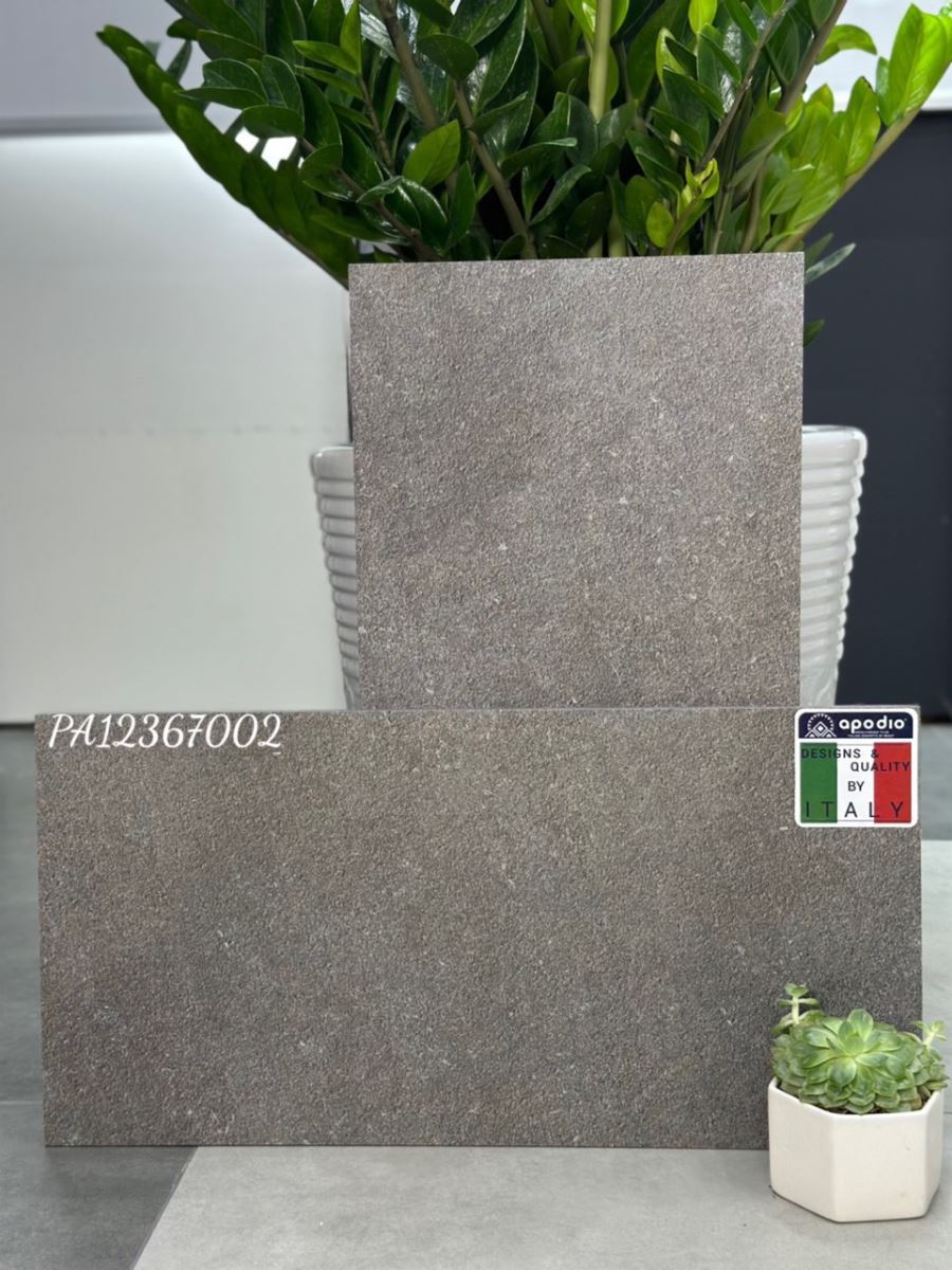 Gạch ốp lát 30x60 Apodio PA12367002 10