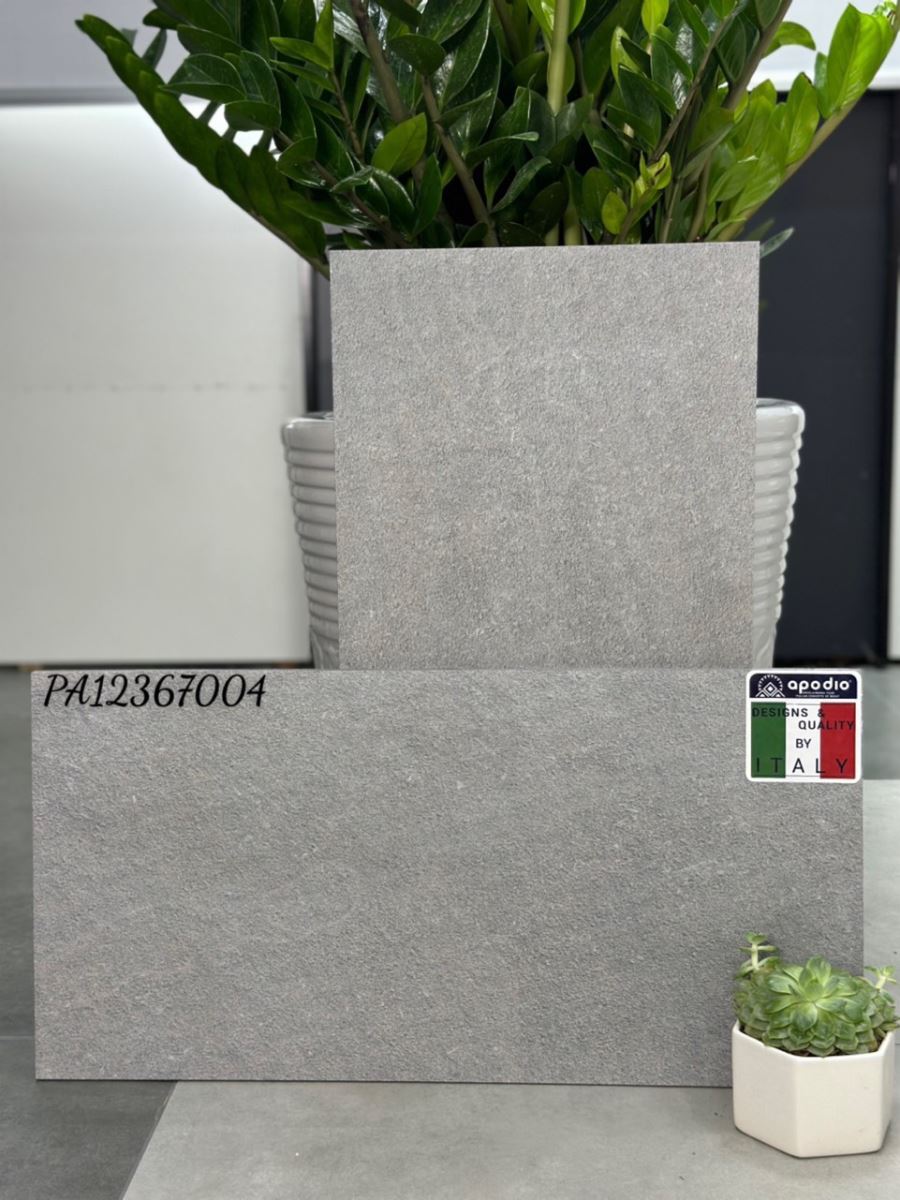 Gạch ốp lát 30x60 Apodio PA12367004 10