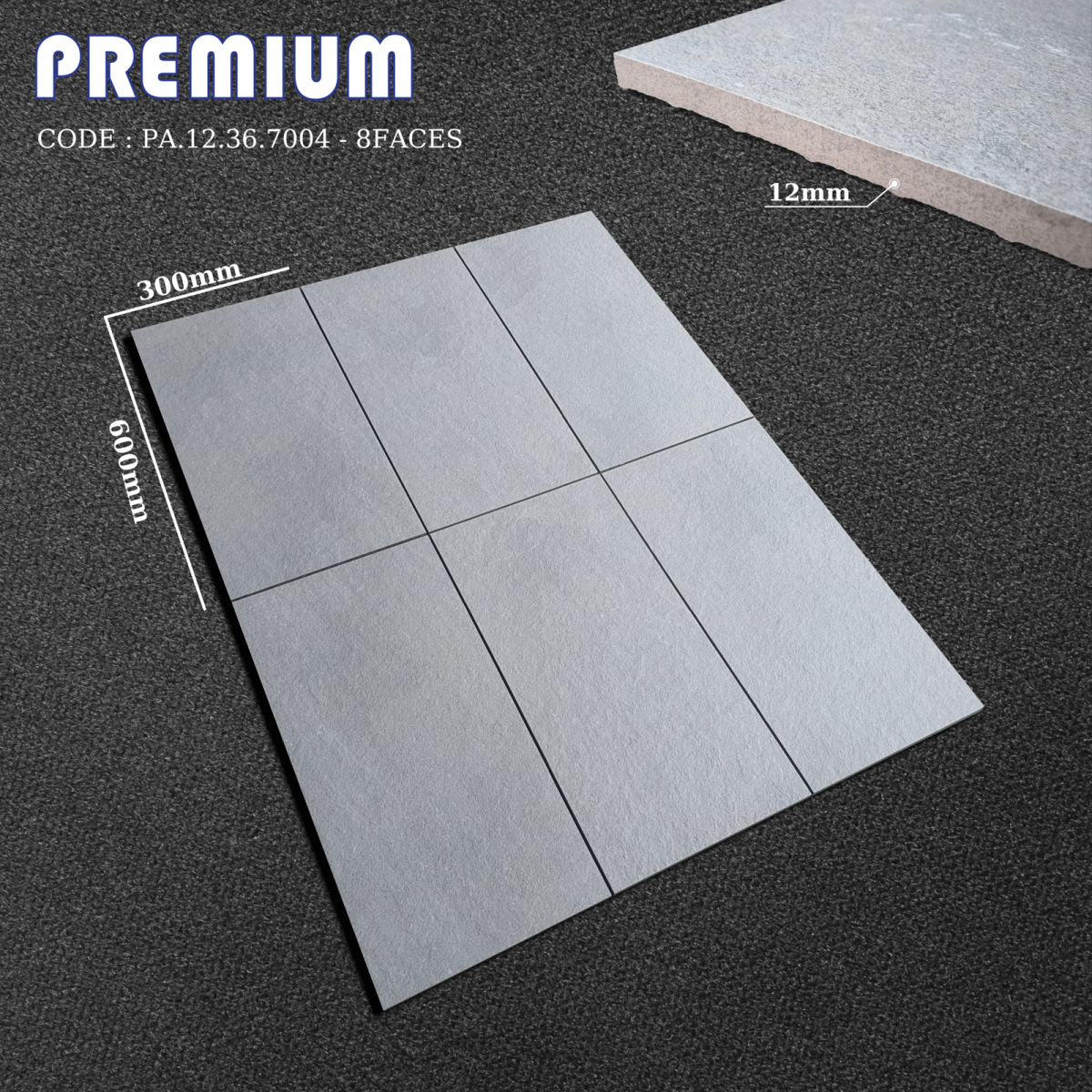 Gạch ốp lát 30x60 Apodio PA12367004 9